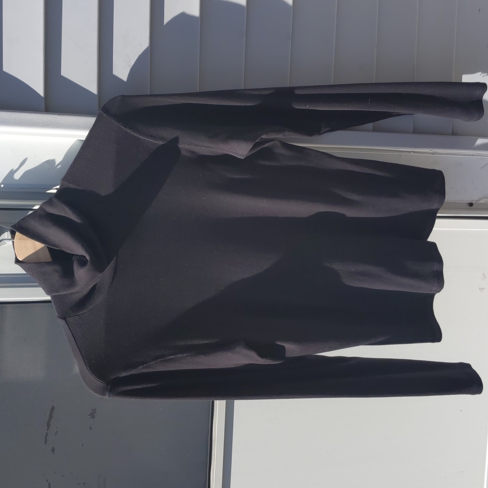 Everlane Pima micro turtleneck